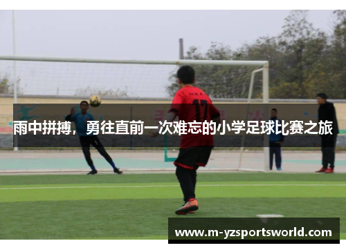 雨中拼搏，勇往直前一次难忘的小学足球比赛之旅
