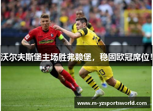 沃尔夫斯堡主场胜弗赖堡，稳固欧冠席位！