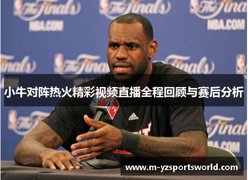 小牛对阵热火精彩视频直播全程回顾与赛后分析