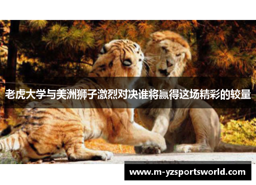 老虎大学与美洲狮子激烈对决谁将赢得这场精彩的较量
